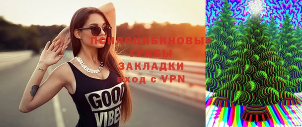бошки Верея